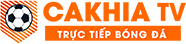 tiến sĩ đá